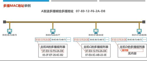 計(jì)算機(jī)網(wǎng)絡(luò)技術(shù)開發(fā)中的關(guān)鍵基石 MAC地址深度解析學(xué)習(xí)筆記